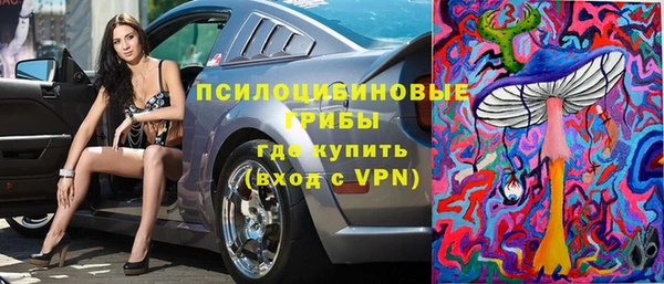 герыч Алексин