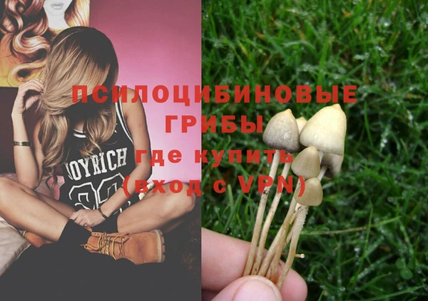 не бодяженный Алзамай