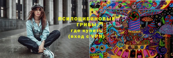 дмт Алексеевка