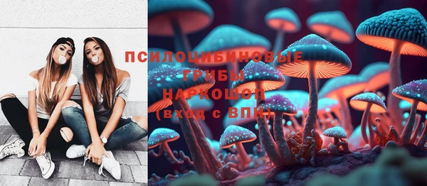 бутират Пересвет