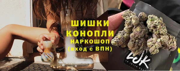 твердый Абаза