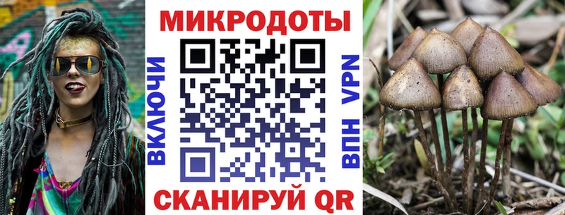 shop как зайти  Сокол  Псилоцибиновые грибы Psilocybine cubensis 